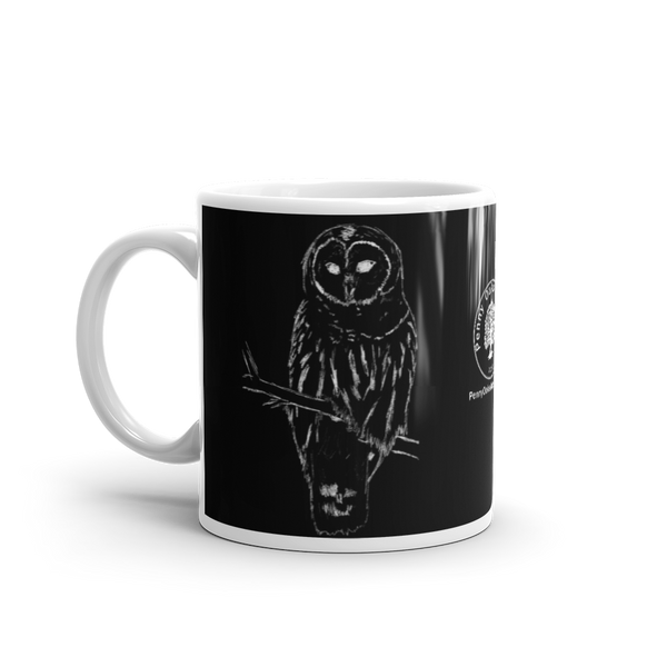 Snowy Owl Glossy Mug