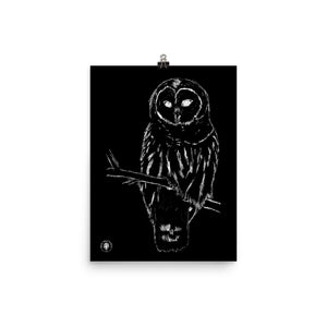 Snowy Owl - Photo paper poster