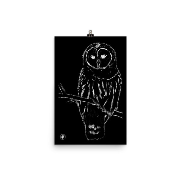 Snowy Owl - Photo paper poster