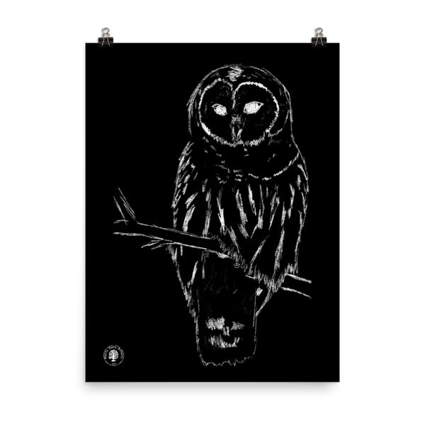 Snowy Owl - Photo paper poster