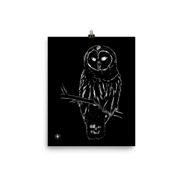 Snowy Owl - Photo paper poster